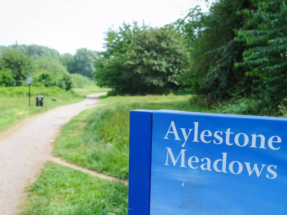 Aylestone Meadows