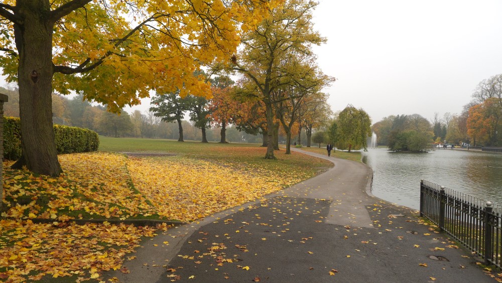 The Peaceful Retreat of Cannon Hill Park