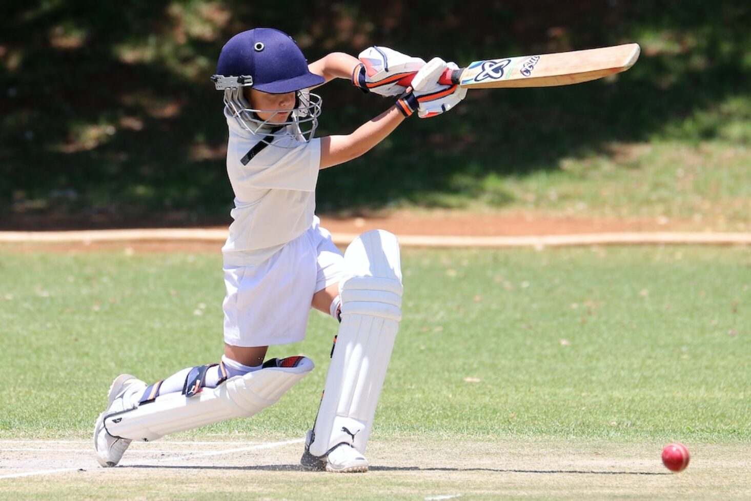 Cricket Skills and Drills for Young Players