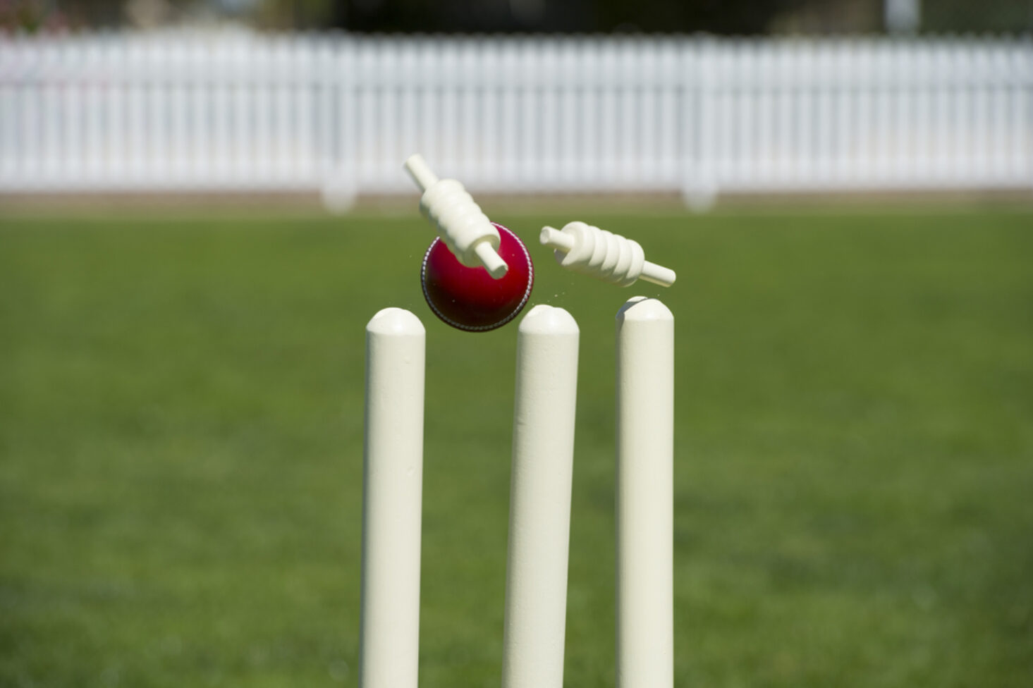 Cricket Stumps Review
