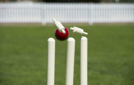 Cricket Stumps Review