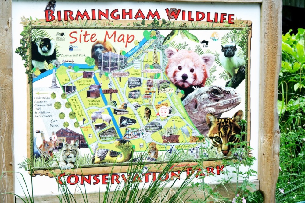 Discover Wildlife at the Birmingham Wildlife Conservation Park