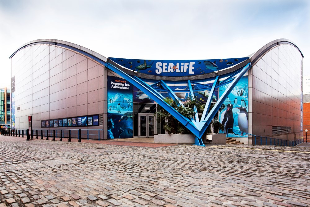 Explore the National SEA LIFE Centre Birmingham