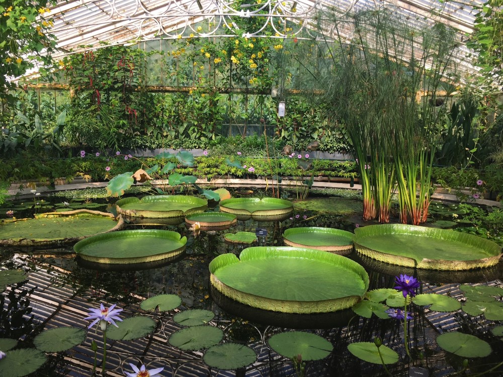 Kew Gardens