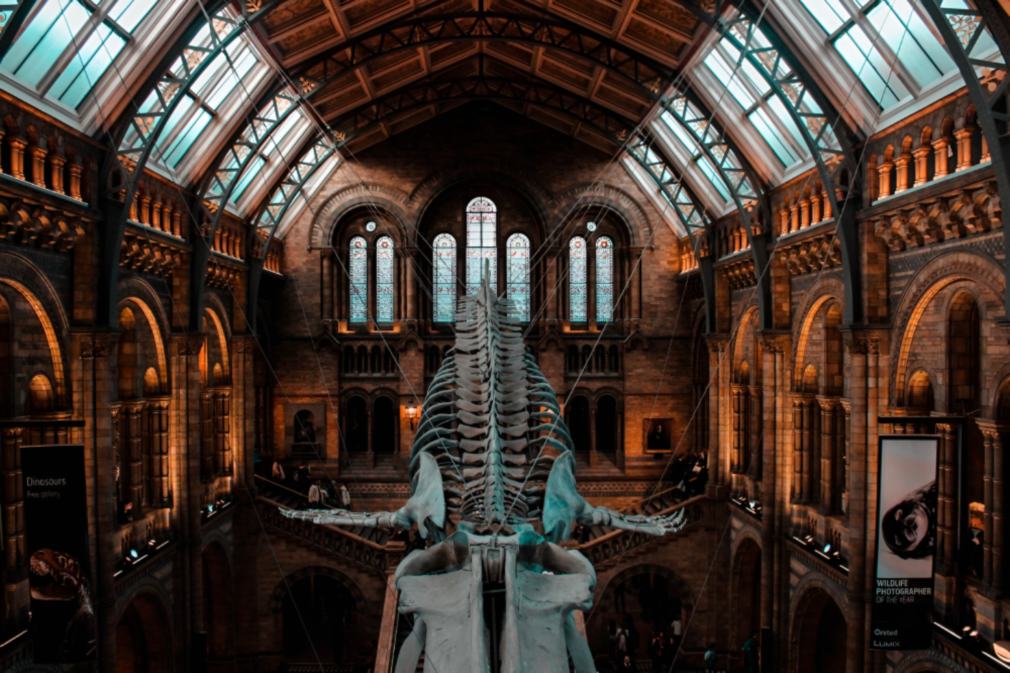 Museums in Birmingham