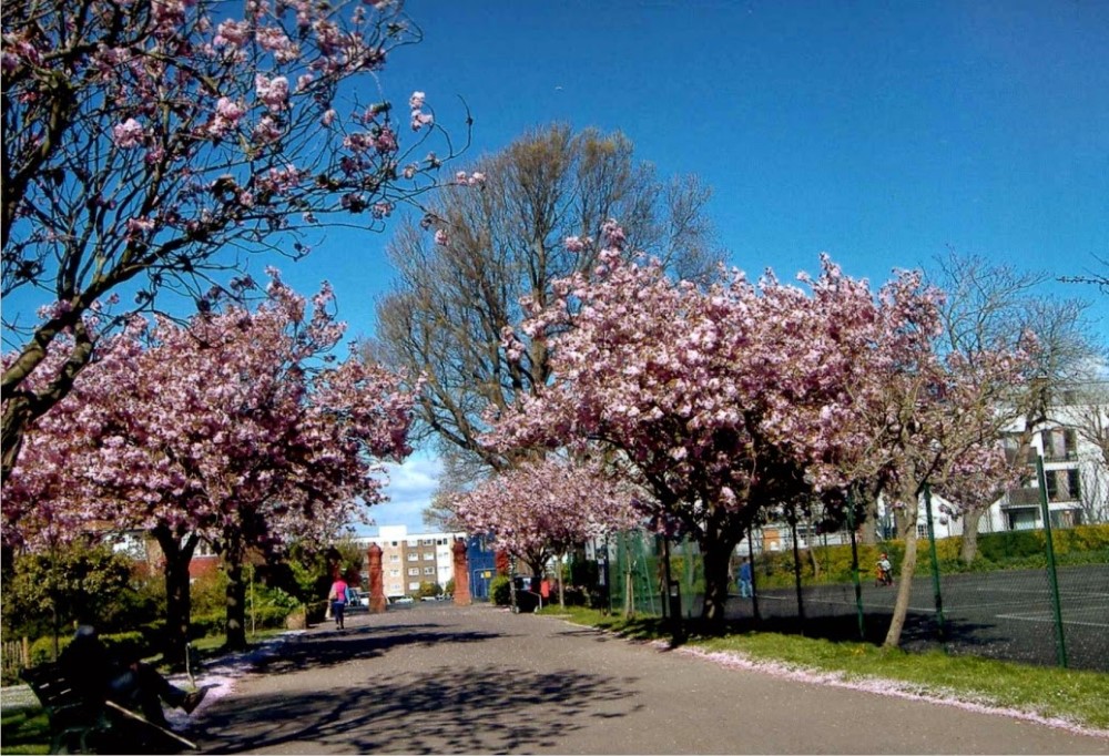 St. Ann's Well Gardens