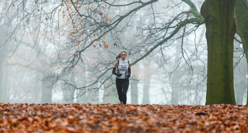 What Are the Benefits of Spending Time in Parks