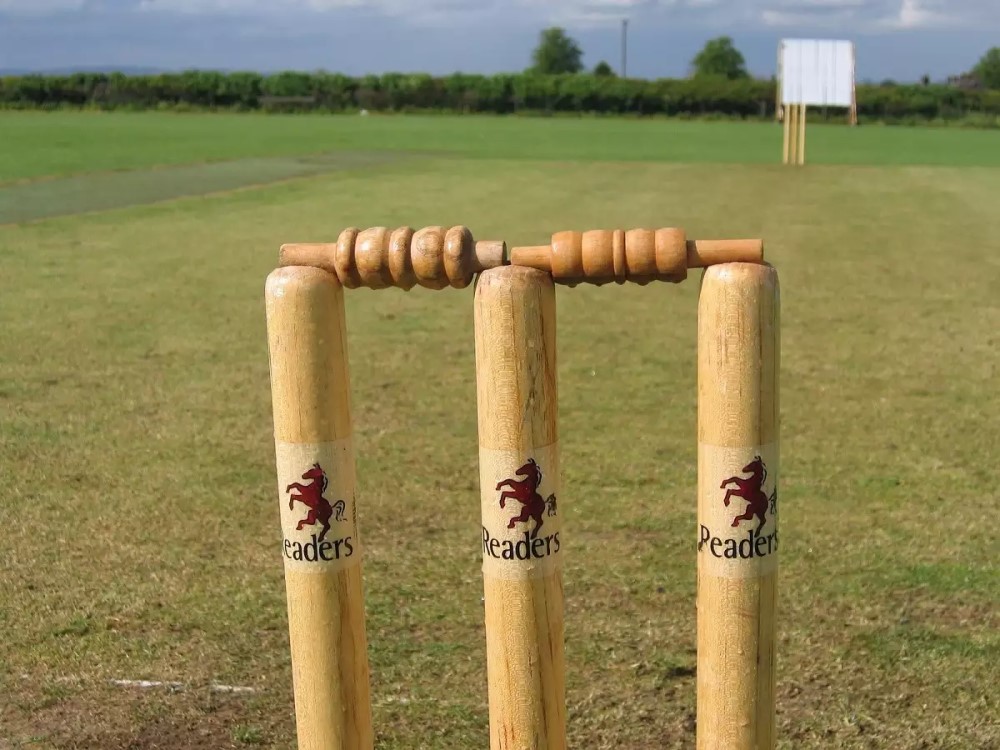 What Materials Are Cricket Stumps Made Of?