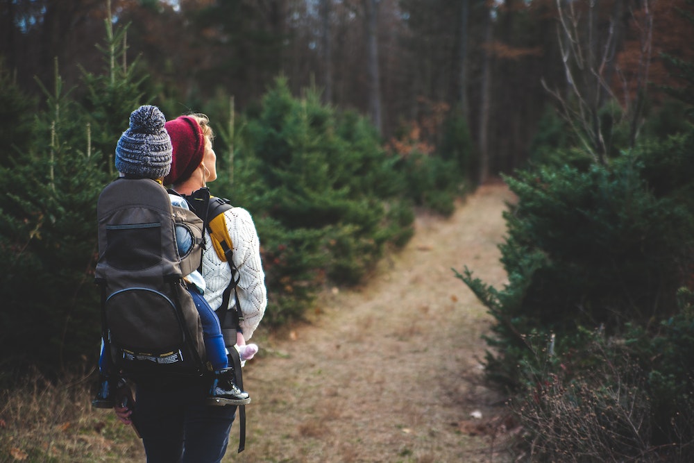 Why are Parks Important for Mental Health and Well-being