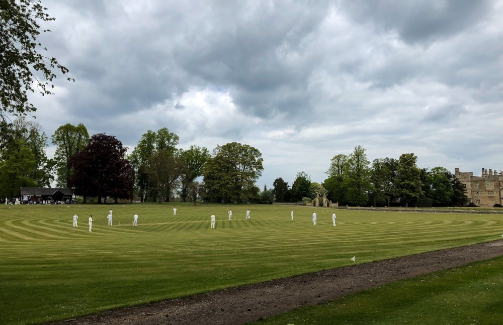 What Fielding Equipment is Essential for Cricket Training?