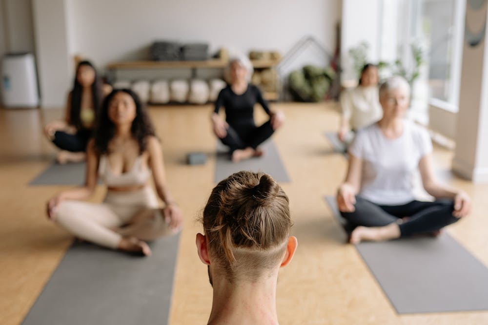 Yoga Haven Birmingham Elevating Yoga Education
