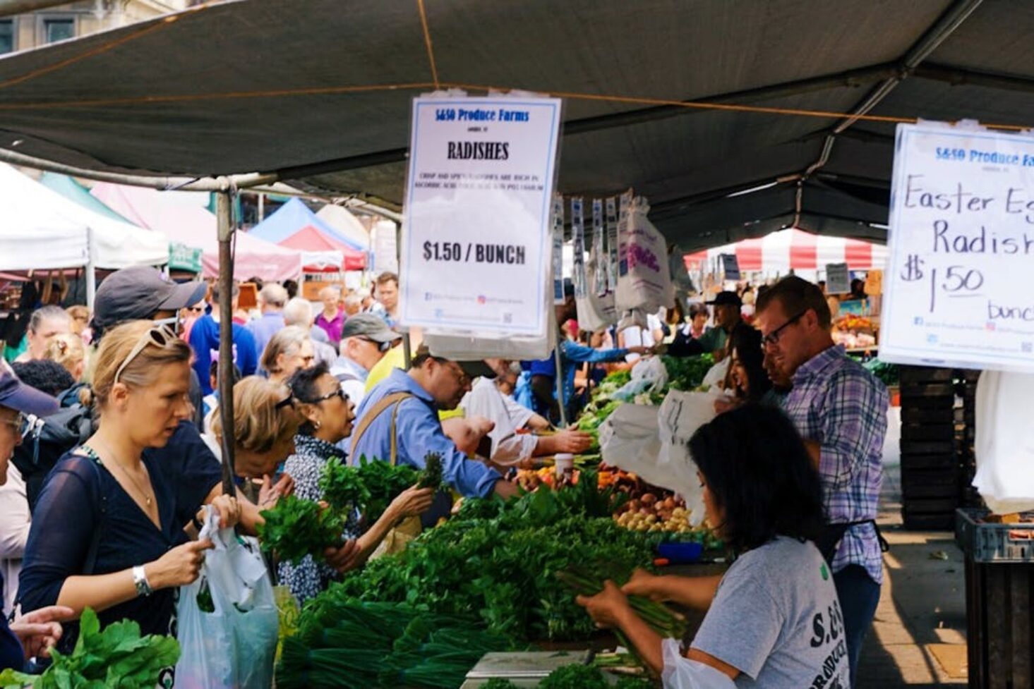 Brighton Farmers' Markets: A Blend of Tradition and Freshness