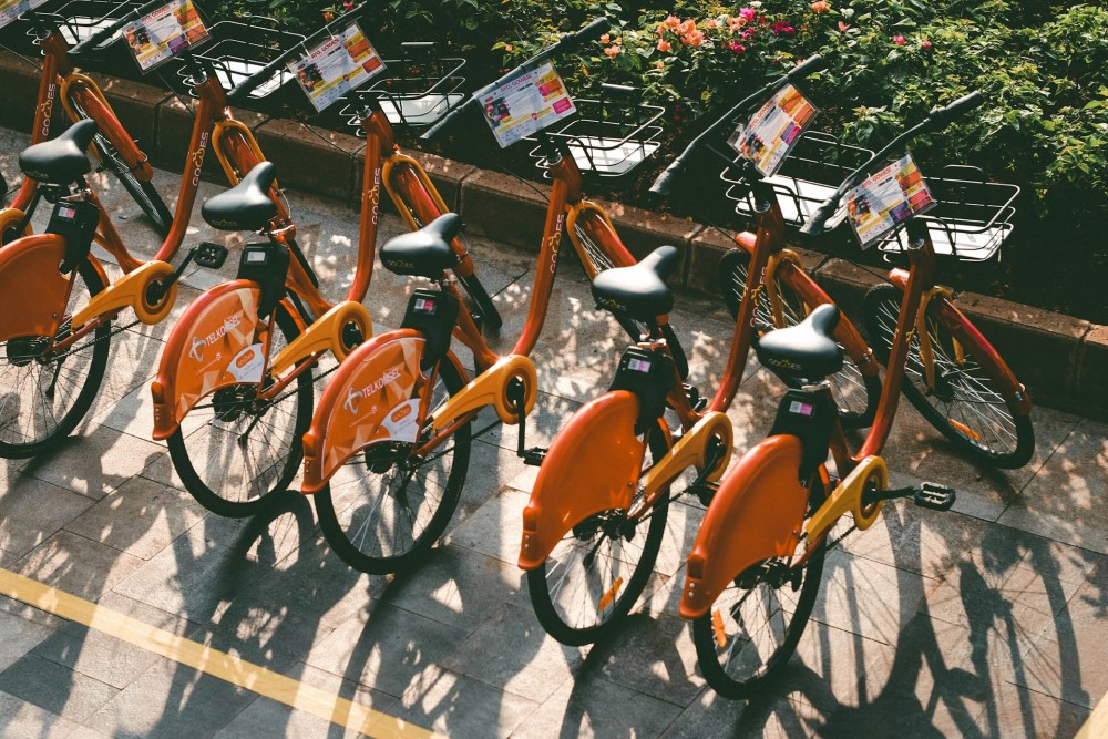 Cycle Routes and Bike-Sharing