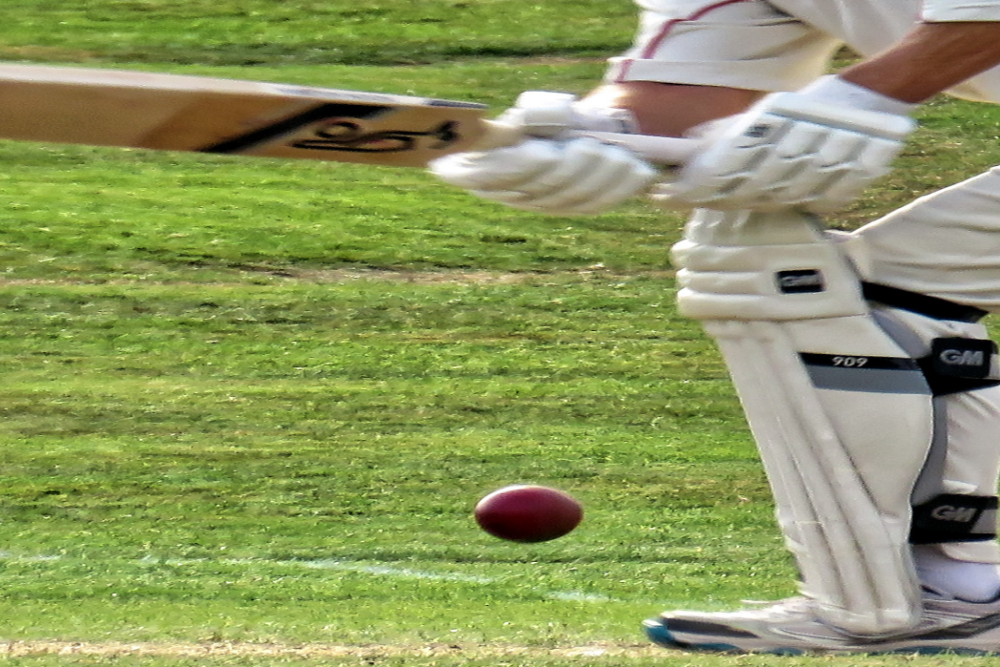 The Gray-Nicolls PowerPlay Cricket Ball