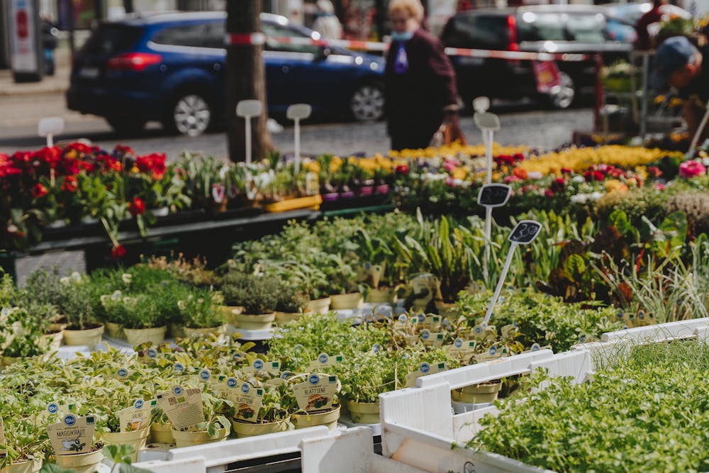 Support for Local Agriculture and The Community