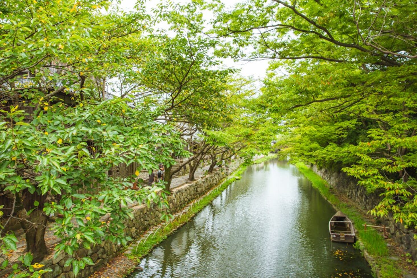 Guildford Riverside Walks: Scenic Routes Along The River Wey