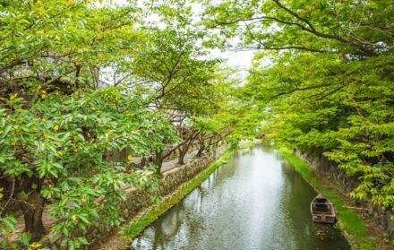 Guildford Riverside Walks: Scenic Routes Along The River Wey