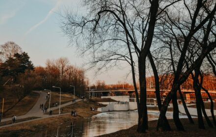 Riverside Walks In Bermondsey: Thames Path And Beyond