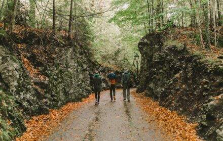 Day Trips From Guildford: Exploring Surrey's Countryside